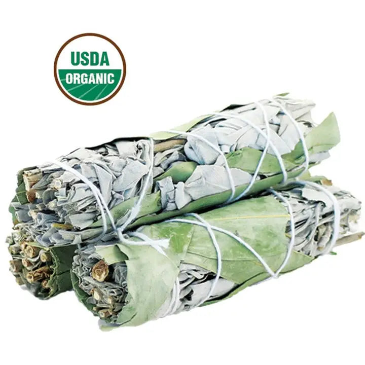 White Sage + Eucalyptus - Refined Man Of Candles
