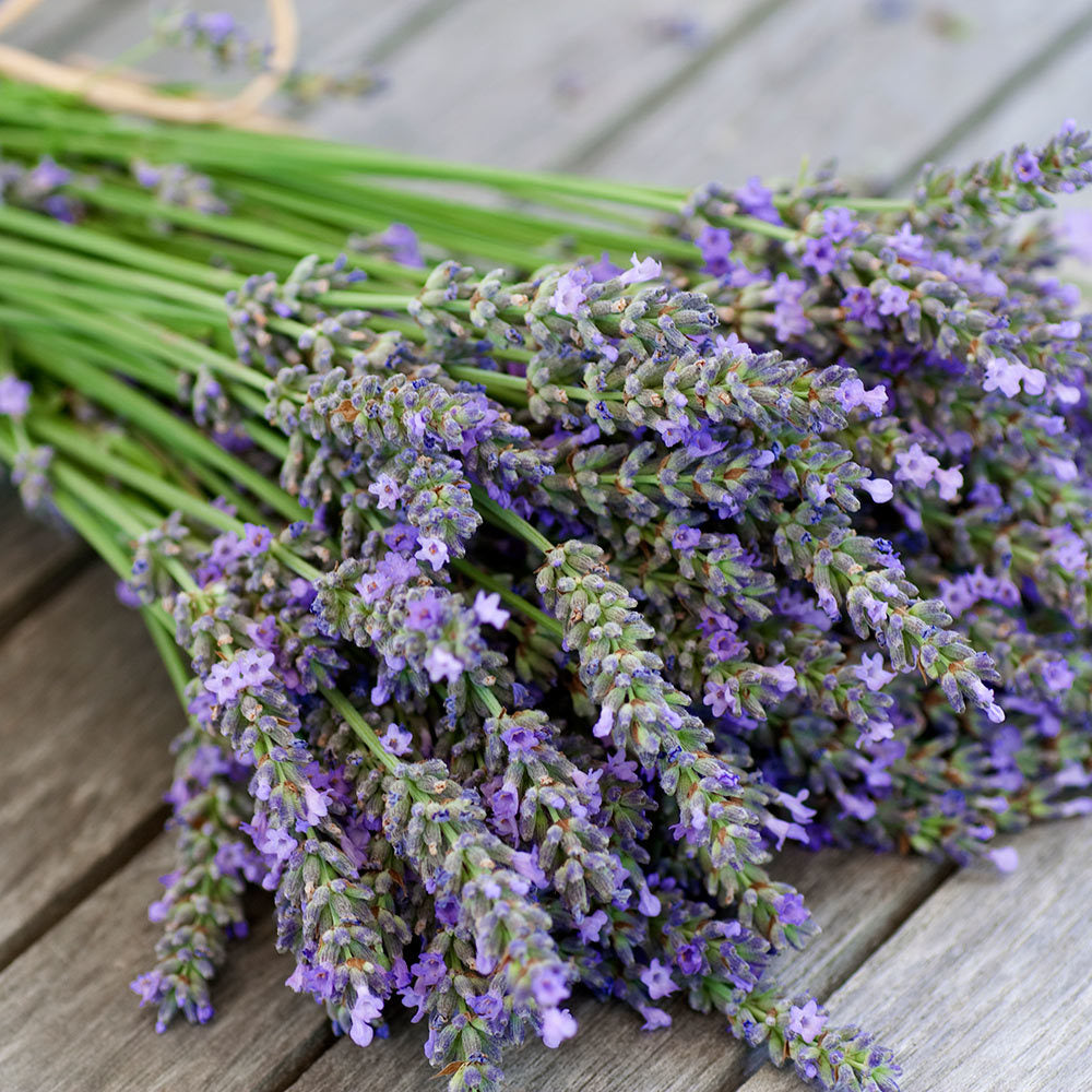 Lavender Candle - Refined Man Of Candles